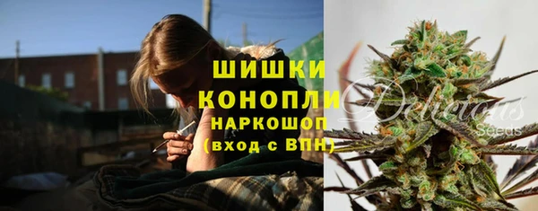 стафф Беломорск