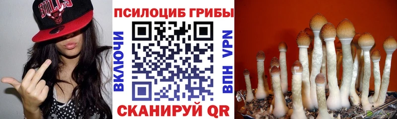 Псилоцибиновые грибы мухоморы  Купить  Навашино 
